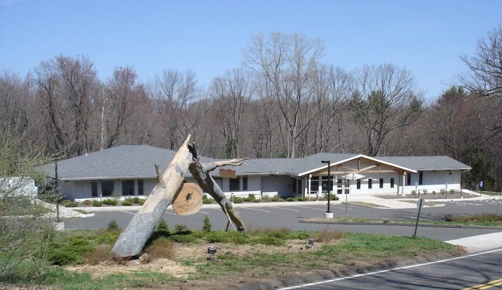 A new community center with a large parking area in a forested setting, featuring managed IT services in Burlington, CT and a fallen, partially cut tree in the foreground.