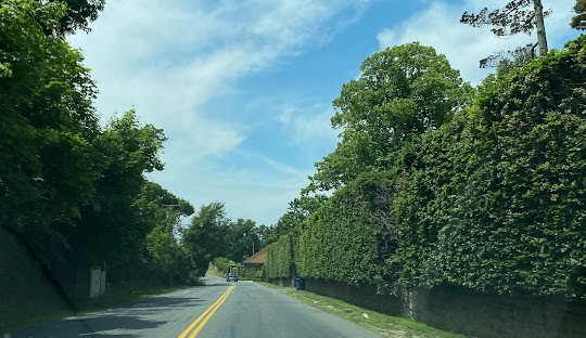 A narrow road with a double yellow line runs between lush green trees and a tall hedge under a blue sky with scattered clouds, resembling the seamless efficiency one might expect from managed IT services in Exeter. A vehicle is visible in the distance.