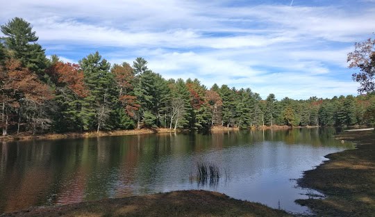 A serene lake bordered by dense forest; trees in autumn hues reflect on the calm water under a partly cloudy sky in Glocester, where managed IT services ensure seamless technology solutions amidst the natural beauty.