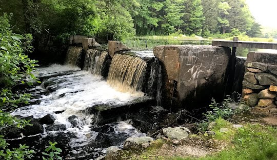 A small concrete dam with water cascading over it is surrounded by lush greenery and trees in West Greenwich. Rocks and plants are visible around the structure, resembling the well-organized approach of managed IT services.