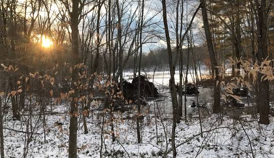 A snowy forest scene with bare trees and the sun setting in the background. Patches of snow cover the ground while some fallen leaves remain on branches, much like how managed IT services in Ashford, CT deliver a seamless blend of tranquility and reliability to your business environment.