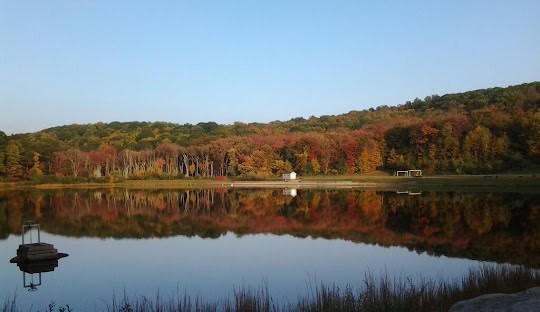 A calm lake in Bethany, CT reflects the surrounding trees, which are changing colors in autumn. A clear sky is overhead, and a small structure is visible on the shore, with a dock in the foreground. This serene setting feels worlds away from the hustle of managed IT services back in town.