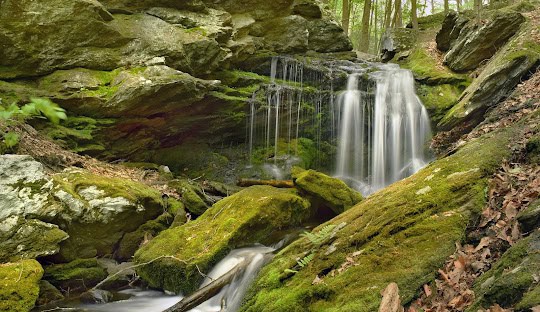 A small waterfall flows over a rock ledge surrounded by moss-covered rocks and trees in a forest setting, resembling the peaceful nature you'd find around Franklin CT after enjoying the technological convenience of managed IT services.