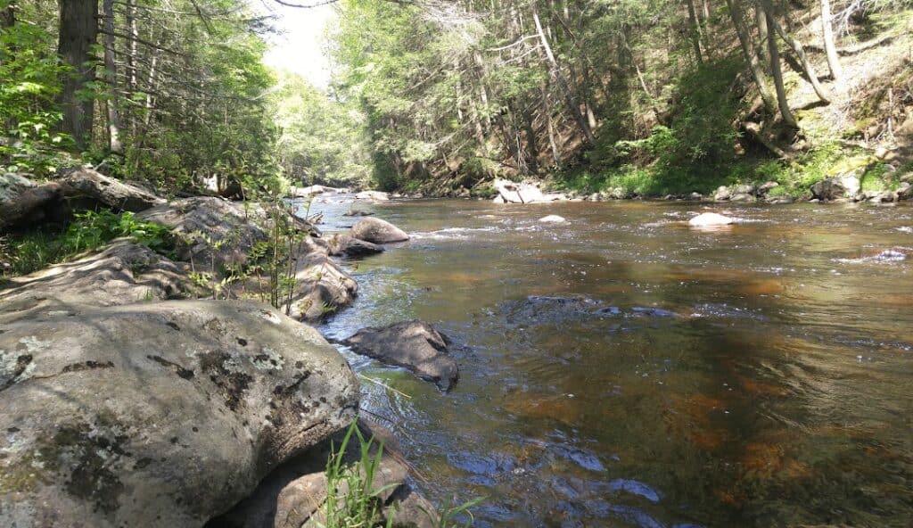 A clear river flows through a forested area with large rocks and greenery along the banks under a bright sky, reminding one of the tranquility you can achieve while managing your IT services in Marlborough, CT.