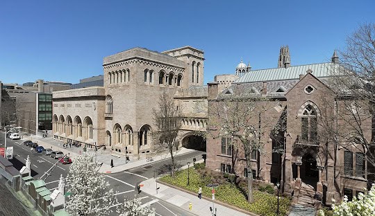 Aerial view of a historic building complex with gothic and modern architecture, featuring a tree-lined street in the foreground under a clear blue sky. Amidst this picturesque scene, discover reliable managed IT services New Haven CT is known for.