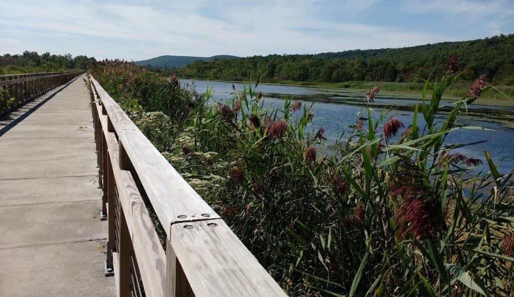 A wooden boardwalk runs alongside a scenic wetland area with tall grasses and a body of water, surrounded by hills and a partly cloudy sky, much like discovering the serenity of managed IT services in Salisbury, CT.