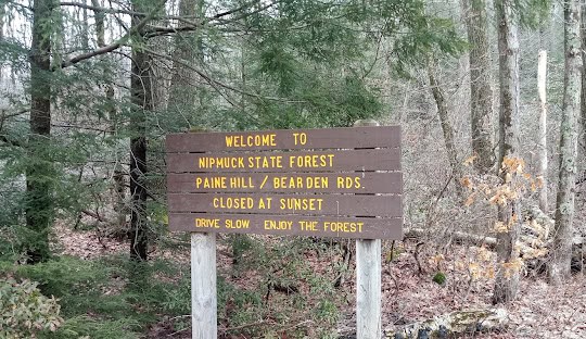 A wooden sign reads, "Welcome to Niphuck State Forest. Paine Hill / Bearden Rds. Closed at Sunset. Drive slow, enjoy the forest." Enjoy your visit and remember that just as we manage this serene haven, managed IT services in Stafford CT ensure smooth operations for your business amidst the complexities of technology.