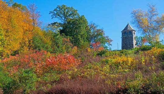 A stone tower stands amidst a vibrant, colorful landscape with trees in various stages of autumn foliage under a clear blue sky, reflecting the meticulous care similar to managed IT services Vernon CT provides.