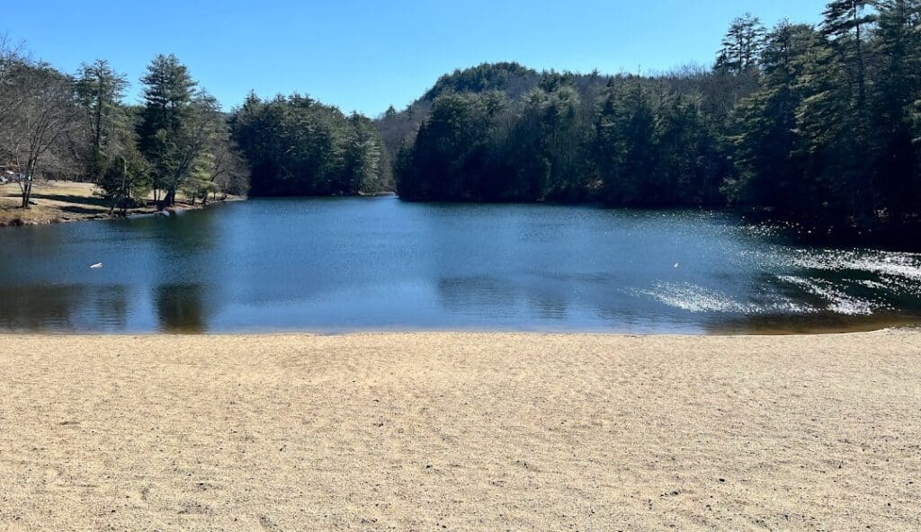 A calm lake bordered by a sandy beach in the foreground and surrounded by trees and hills in the background under a clear blue sky provides an idyllic setting for those seeking tranquility, perhaps reminiscent of the peaceful environments fostered by managed IT services in Watertown, CT.