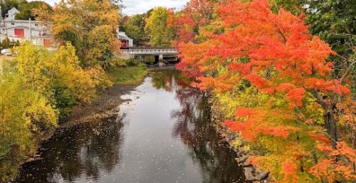 A river surrounded by vibrant autumn foliage, with a mix of red, orange, and yellow trees. Buildings and a bridge are visible in the background on an overcast day, reminiscent of the calm efficiency found in managed IT services Berlin provides.