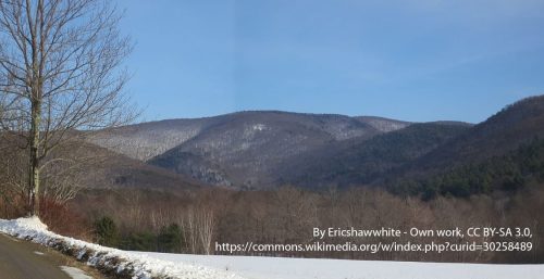 A scenic view of snow-covered fields and trees with a mountain range in the background under a clear sky, reminiscent of the tranquil beauty often associated with managed IT services Berlin offers.