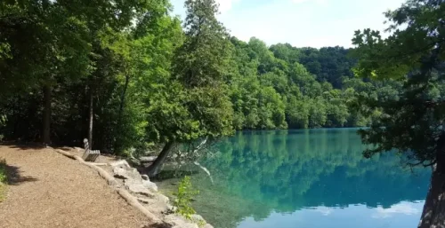Tranquil lake with surrounding forest and a bench overlooking the water, providing a serene view reminiscent of the peace managed IT services Burlington can offer to your business environment.