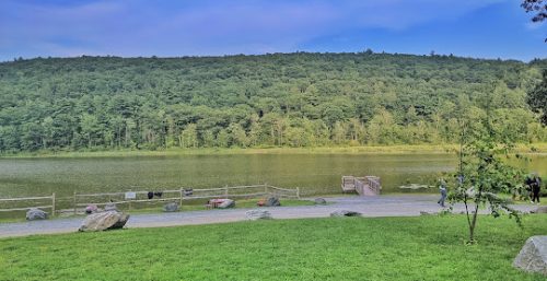 Scenic view of a lake bordered by a lush, green forested hill under a clear blue sky. There is a railing along the lake's edge, with people and trees visible in the background, reflecting the calm reliability one might expect from managed IT services in Clarksville.