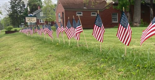 A row of American flags are placed along a grassy verge in front of a brick building with a sign displaying a message in English, promoting managed IT services in Cleveland. Trees and additional buildings are visible in the background.