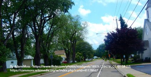 A suburban street lined with trees and houses on a sunny day. A church is visible on the right, reflecting the tranquil charm of Farnham. Text with credits is overlaid at the bottom left.