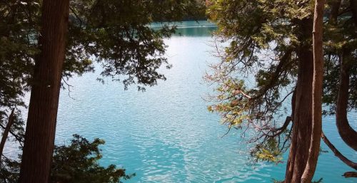 A serene body of water surrounded by trees, with clear turquoise water reflecting light; it's as peaceful as the expert care provided by managed IT services in Fayetteville.