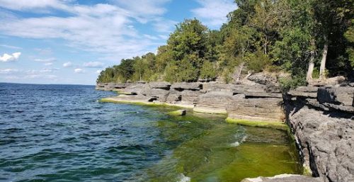 Rocky shoreline with layered rock formations and a mix of green and blue water under a partly cloudy sky. Trees are visible along the top of the rocks, much like the reliable coverage provided by managed IT services in Henderson.