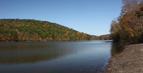 A calm lake with autumn-colored trees on a clear day, reminiscent of the serene beauty that Managed IT Services in Kent aims to protect.