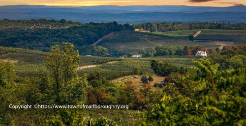 Scenic view of expansive orchards and farmland with trees in the foreground and distant hills under a cloudy sky, much like the serene landscapes you find around providers of managed IT services in Marlborough.