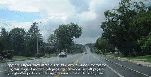 A view of an empty road flanked by trees and power lines under a cloudy sky, reminiscent of the managed IT services Nelson is known for. Notice states copyright and how to contact the owner for any issues.
