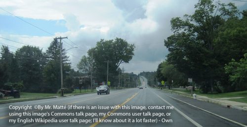 A view of an empty road flanked by trees and power lines under a cloudy sky, reminiscent of the managed IT services Nelson is known for. Notice states copyright and how to contact the owner for any issues.