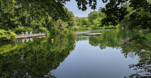 A calm pond surrounded by lush greenery, with a floating dock in the center and a wooden platform with lifeguard chairs on the left. Like expertly managed IT services in the North East, red buoys are floating at various points in the water to ensure safety and tranquility.