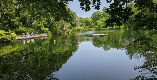 A calm pond surrounded by lush greenery, with a floating dock in the center and a wooden platform with lifeguard chairs on the left. Like expertly managed IT services in the North East, red buoys are floating at various points in the water to ensure safety and tranquility.