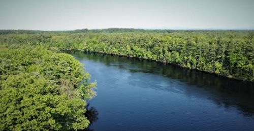 An aerial view captures a wide river winding through a dense forest under a clear sky, reminiscent of the seamless flow achieved by top-notch managed IT services in Queensbury.