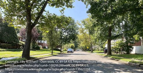 A quiet suburban street with single-story houses, green lawns, and tall trees on a bright, sunny day in Salisbury, where residents enjoy the seamless tranquility enhanced by reliable managed IT services.